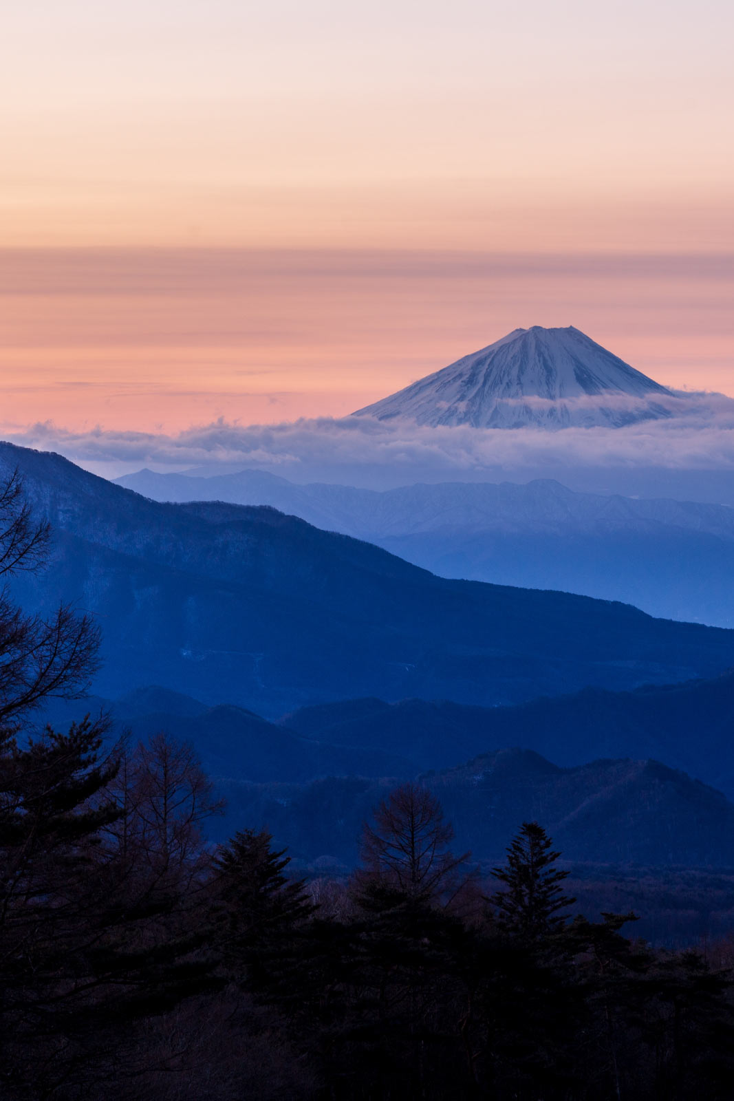 八ヶ岳の薪 | 「別荘・キャンプ」、北杜市、原村、富士見、白州、承ります image