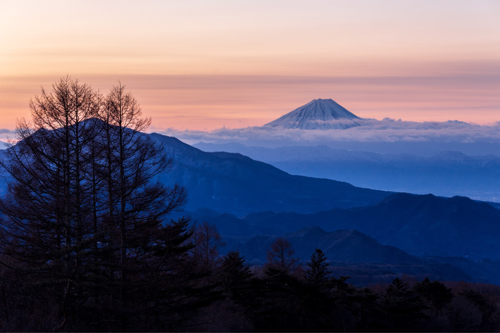 八ヶ岳の薪 | 「別荘・キャンプ」、北杜市、原村、富士見、白州、承ります image